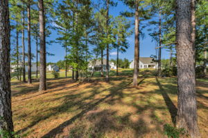  6313 Fawn Crest Dr., Waxhaw, NC 28173, US Photo 35