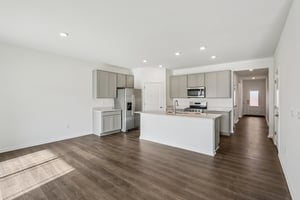 Flag Stop Dr-S2401-009.jpg