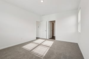 Flag Stop Dr-S2401-020.jpg