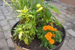  Photo 44