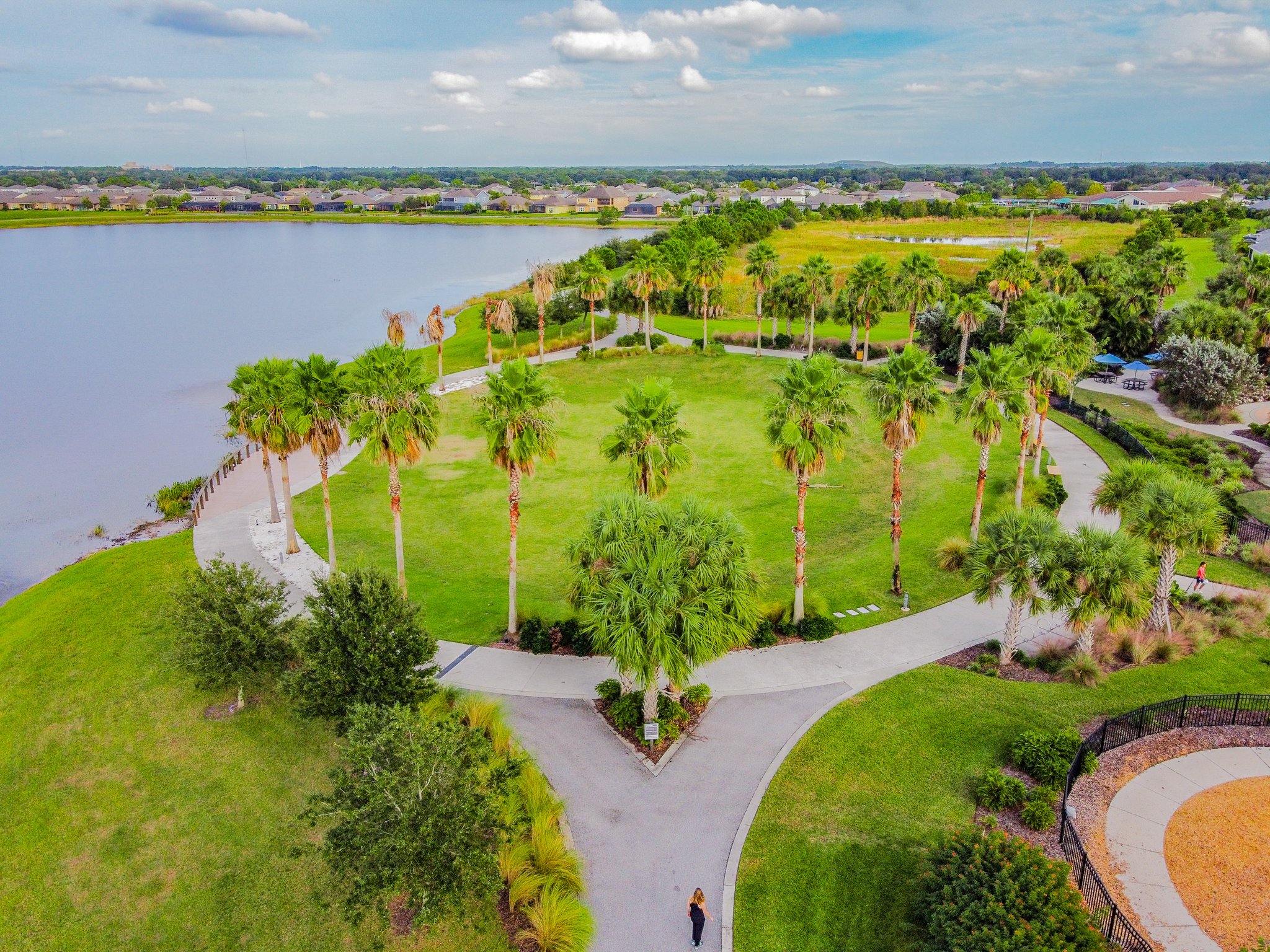 DJI_0459.jpg