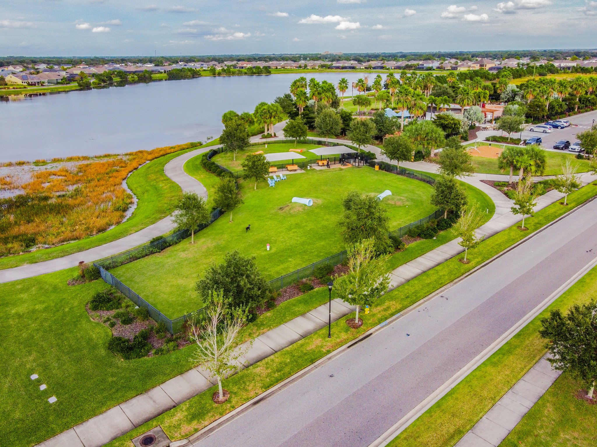 DJI_0430.jpg