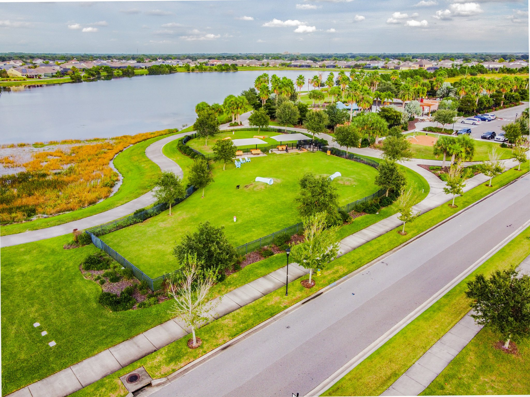 DJI_0431.jpg