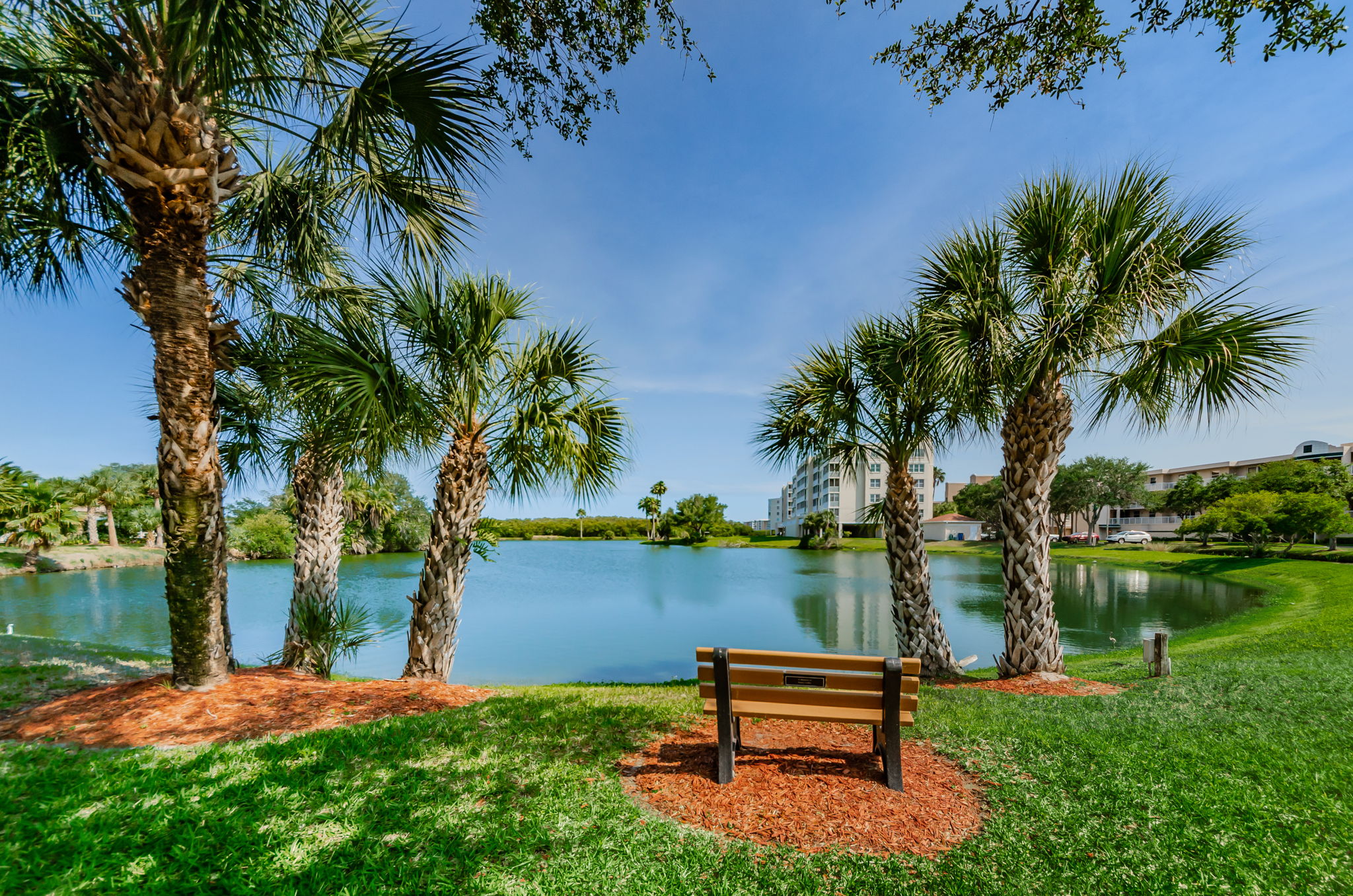 The Shores of Long Bayou Lake 1a