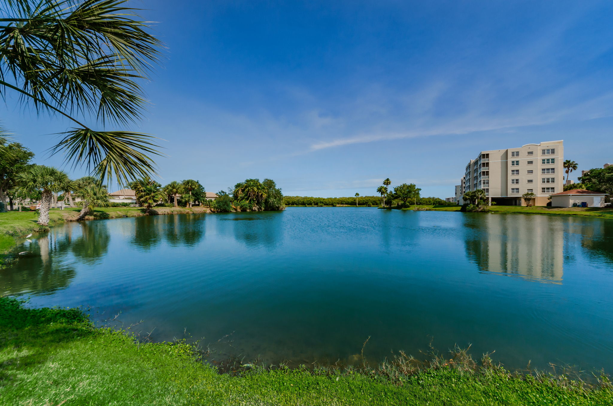 The Shores of Long Bayou Lake 1b