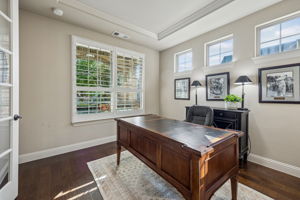 6316Savannah_005