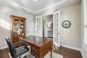 6316Savannah_006