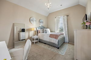 6316Savannah_032