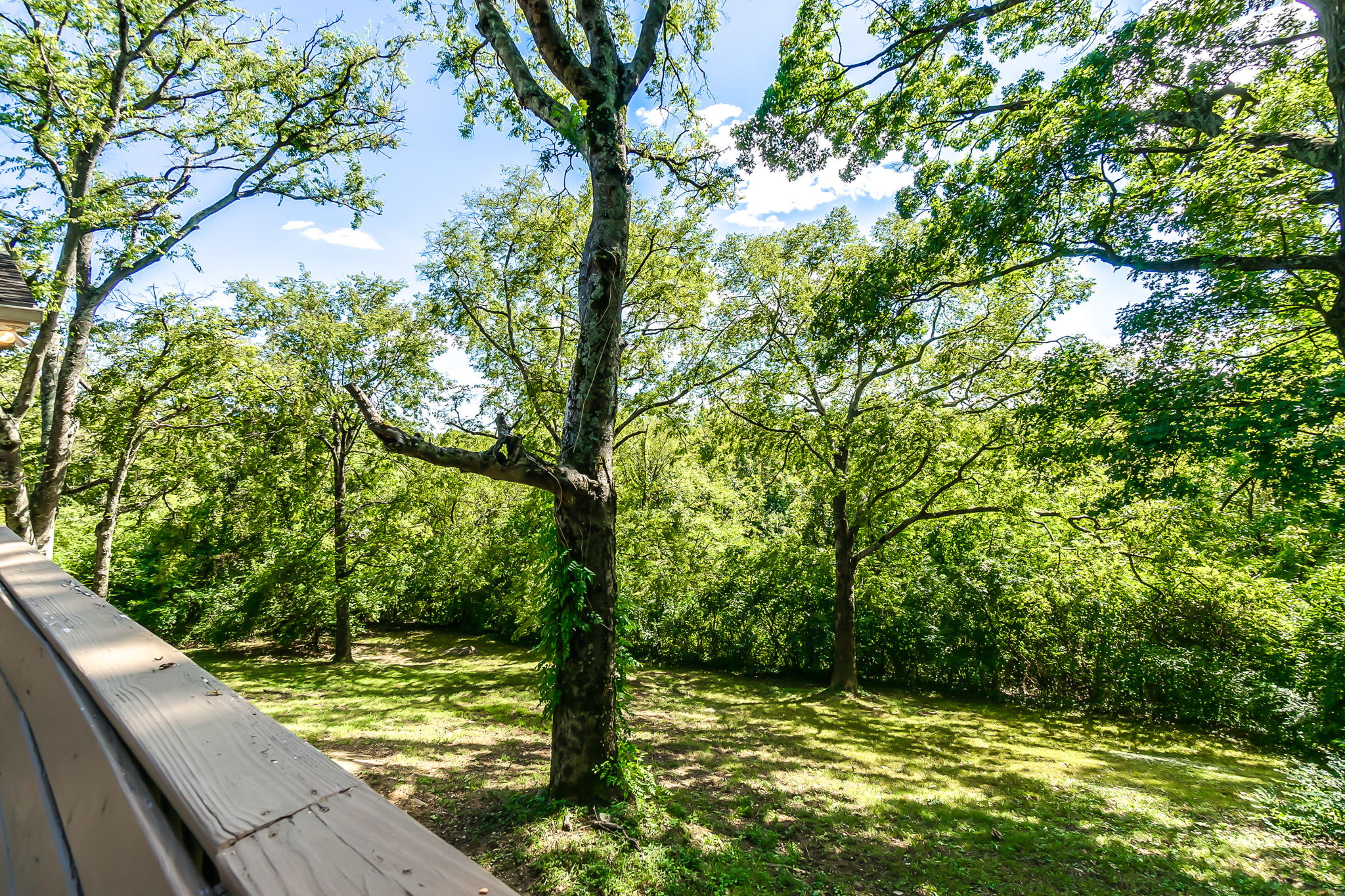 632 Bel Air Dr, Nashville, TN 37217, USA Photo 41