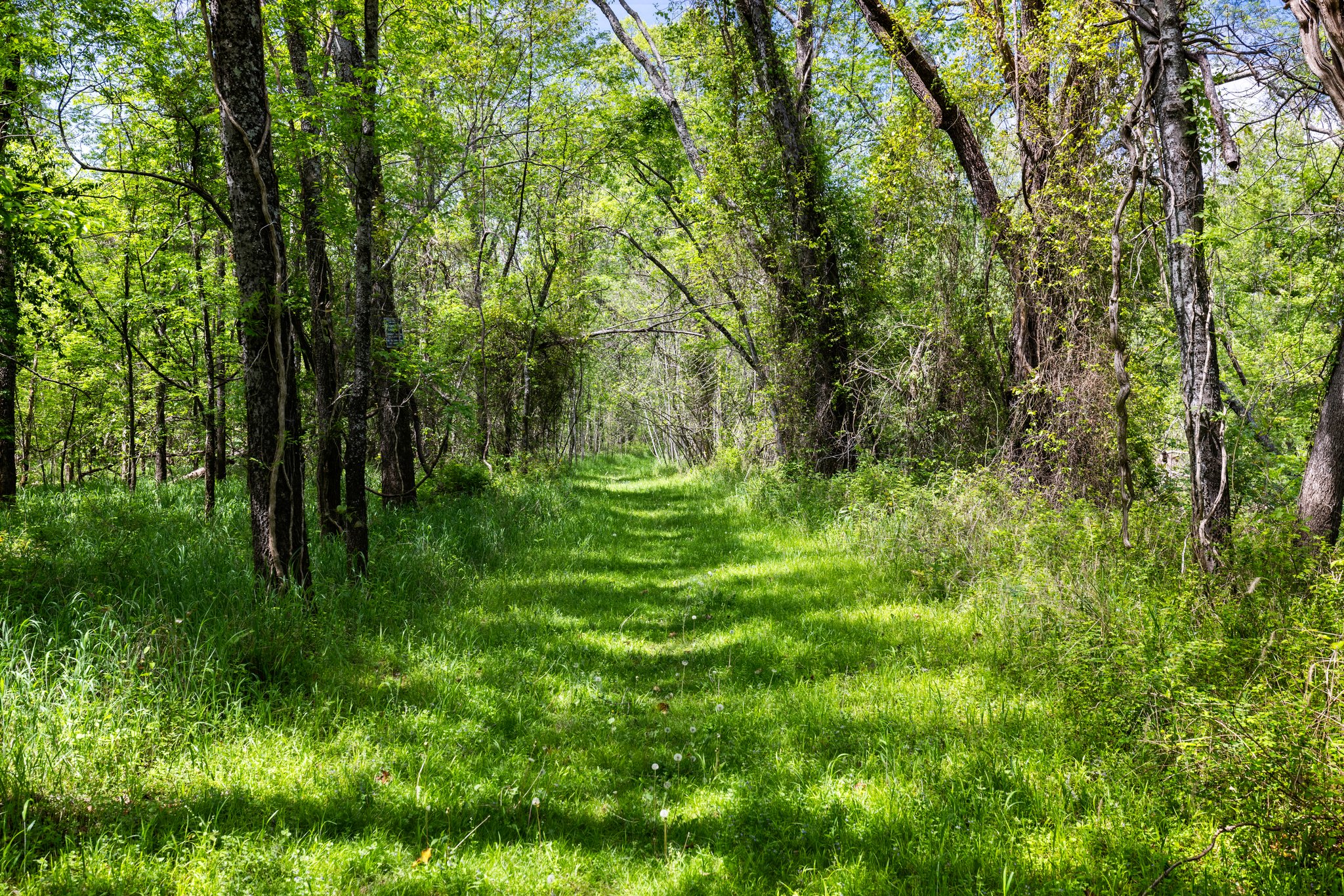 Scenic walking trail down near the river.  Perfect for walking your dog or getting some exercise.
