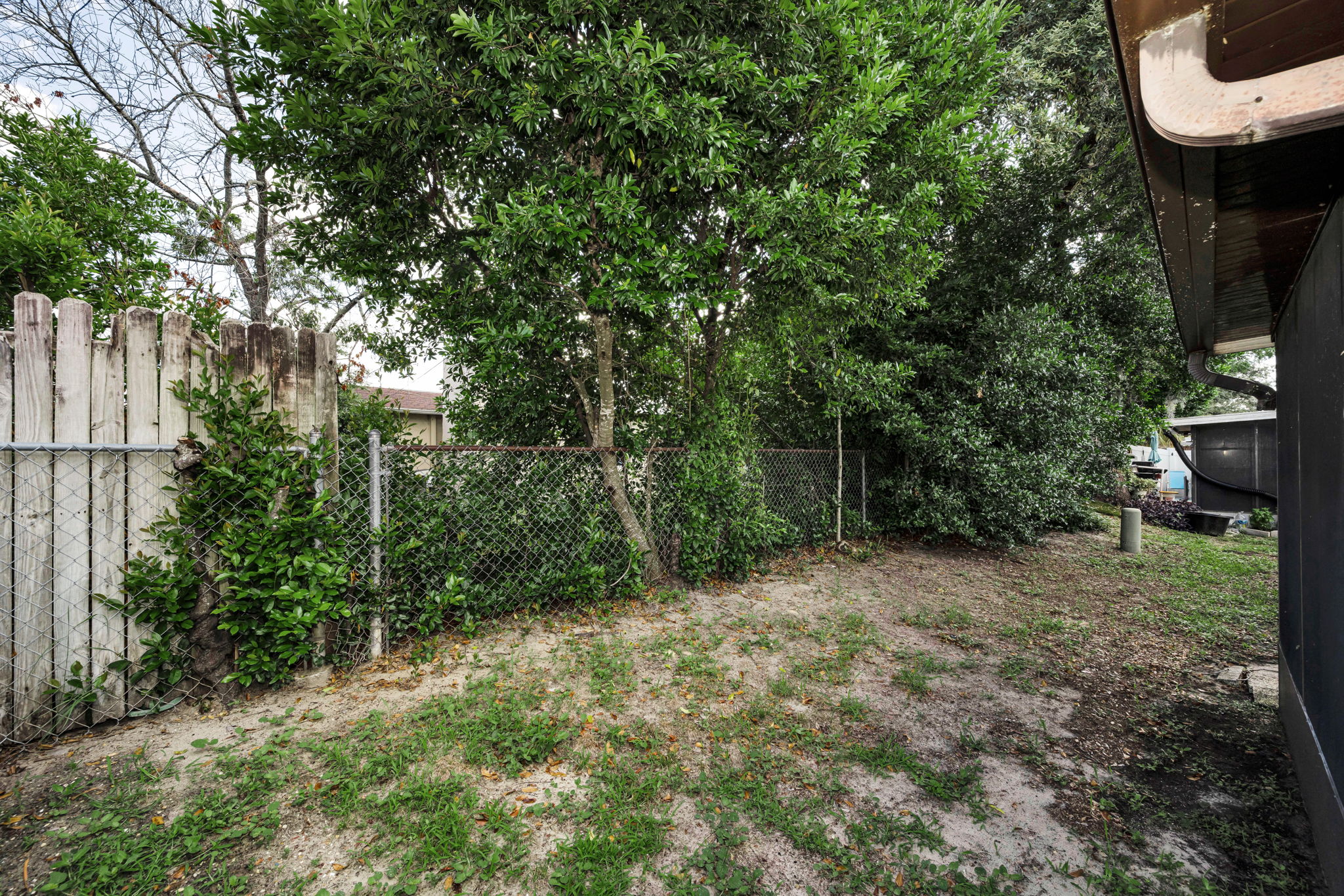Backyard 3