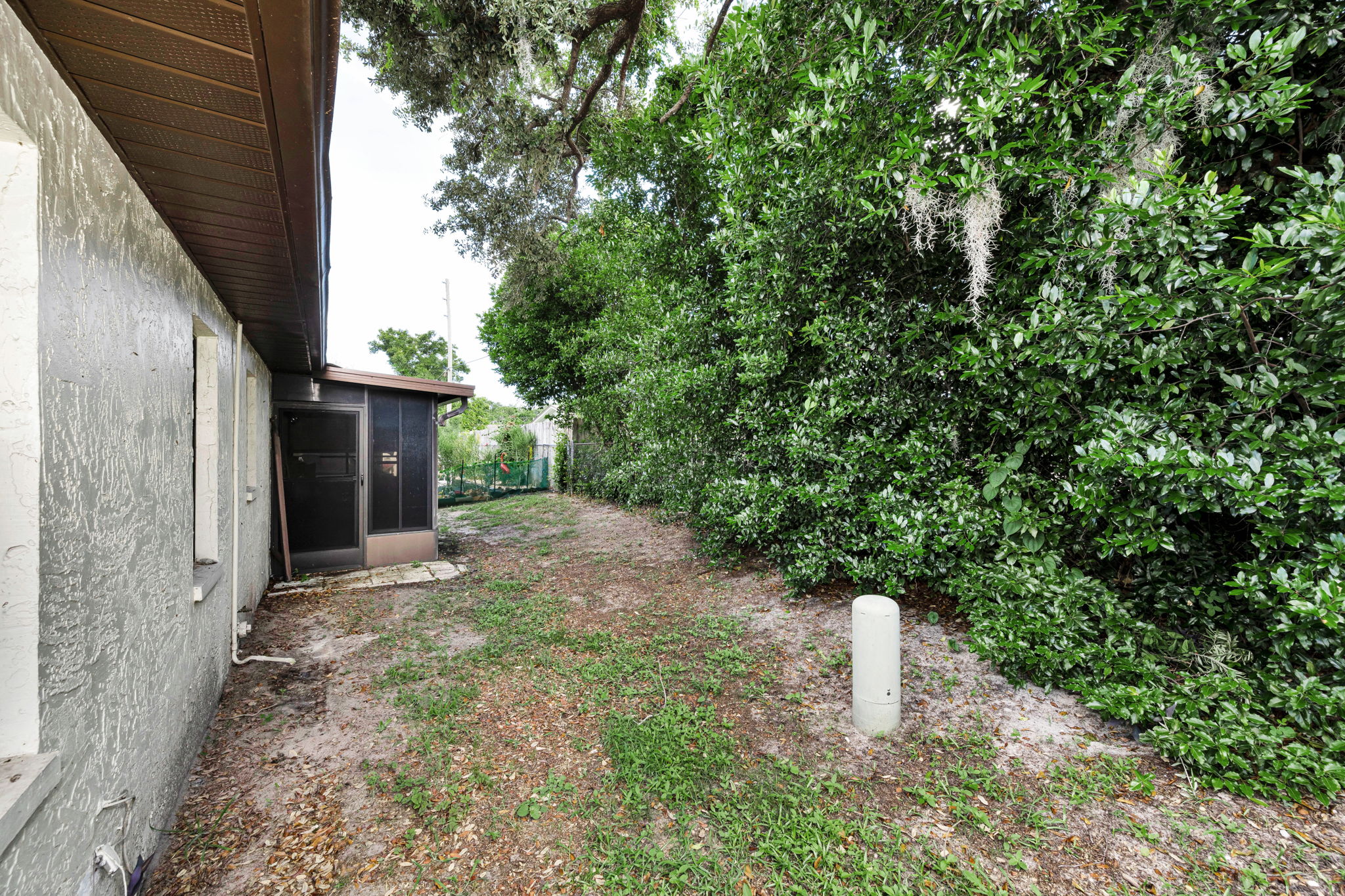 Backyard 1