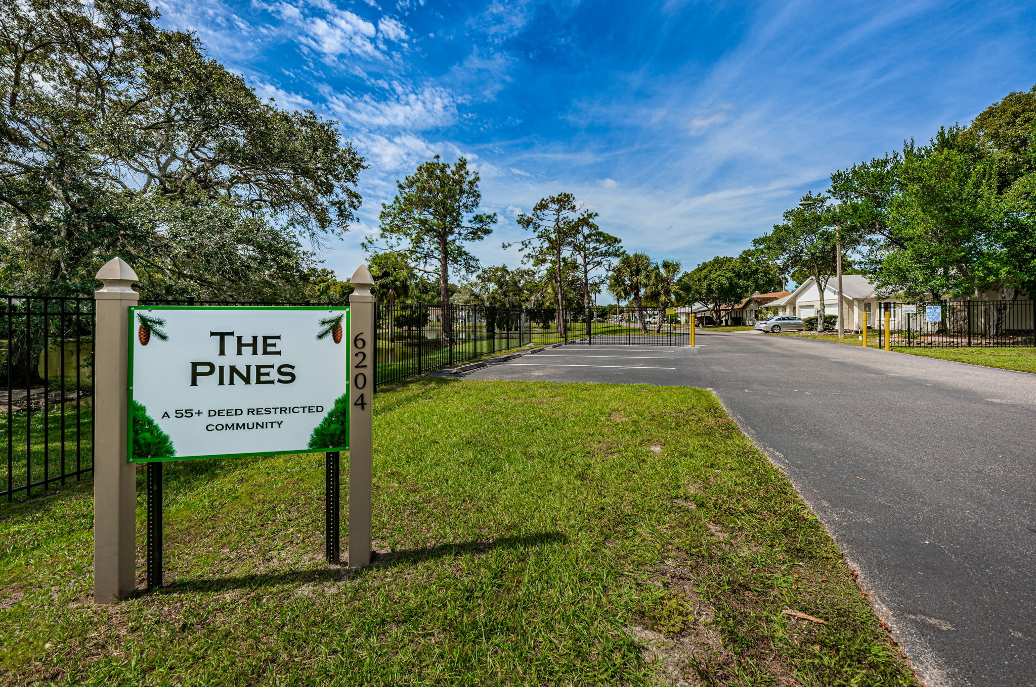 1-The Pines