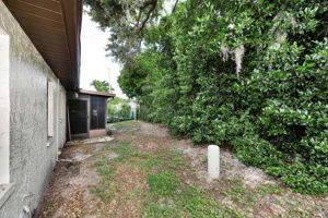 Backyard 1
