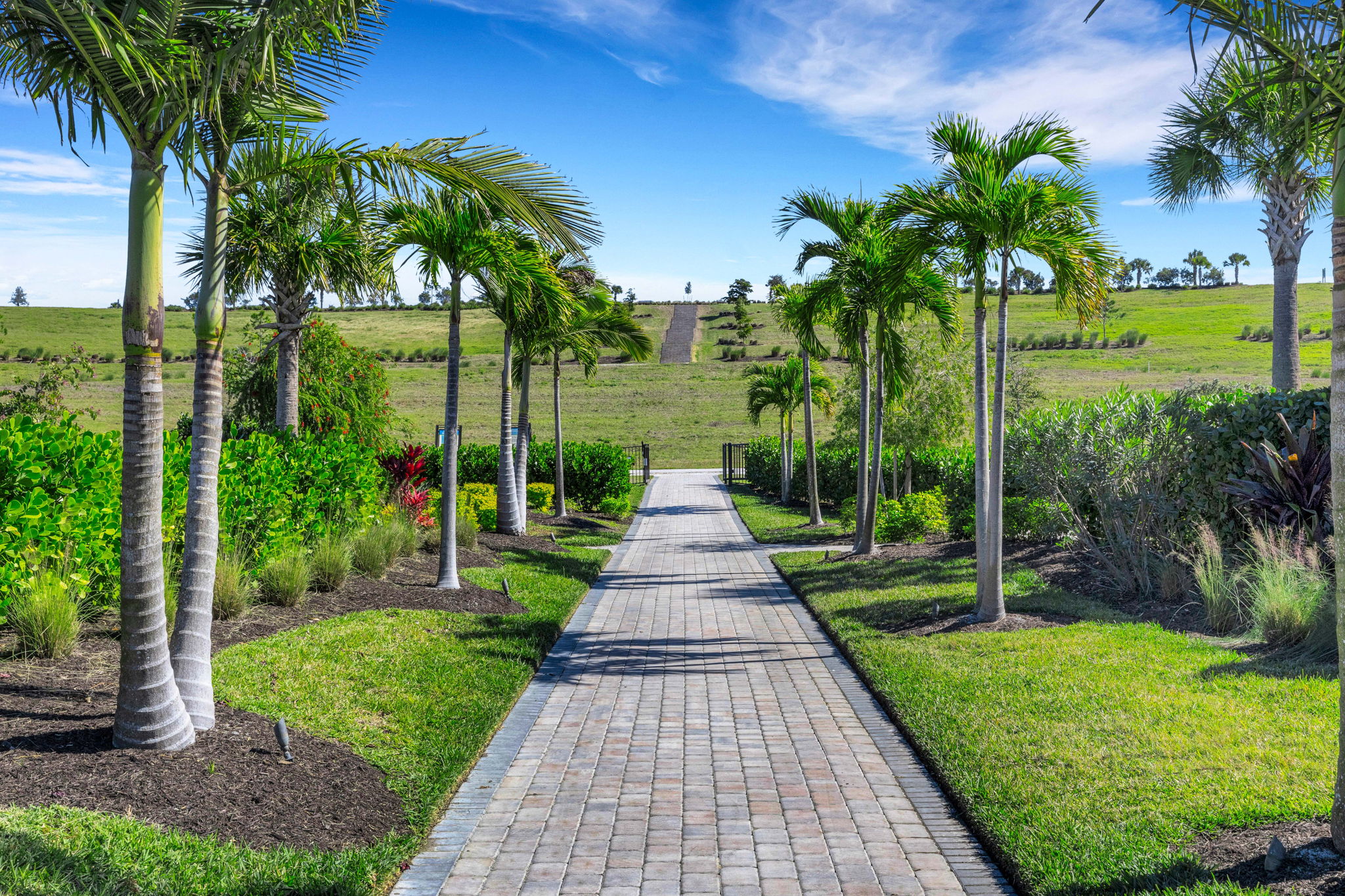  Photo 93