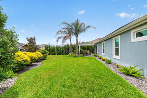 Large Corner Lot with PRIVACY Landscaping