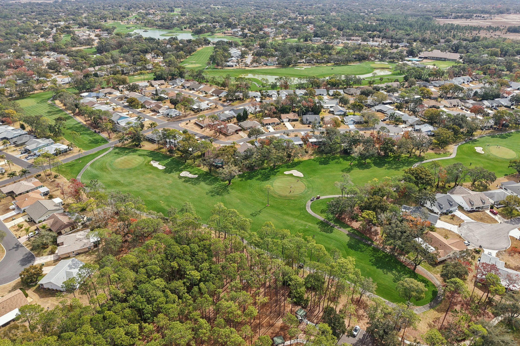 Ocean Pines Ln-1202-931.jpg