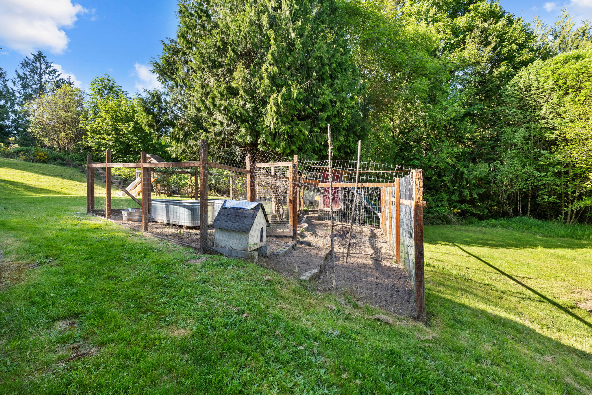  Photo 43