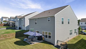  Photo 41