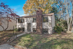 Windharp Way-043