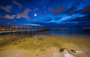 Dock and Water View20