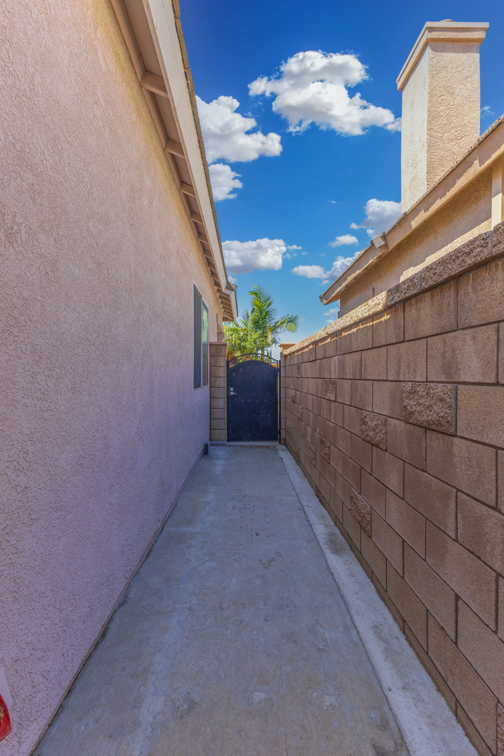 Photo 45