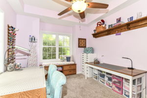  Photo 38