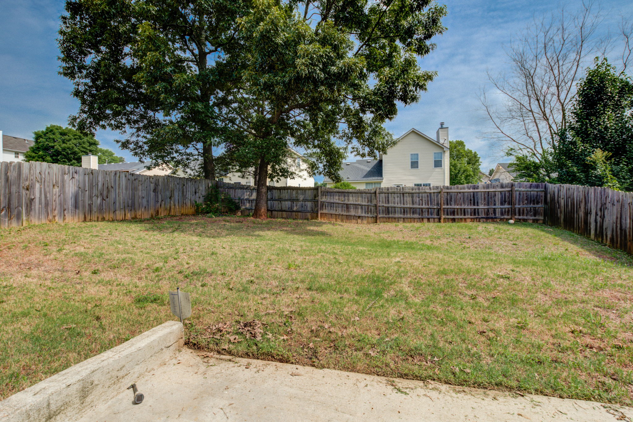 View of Backyard