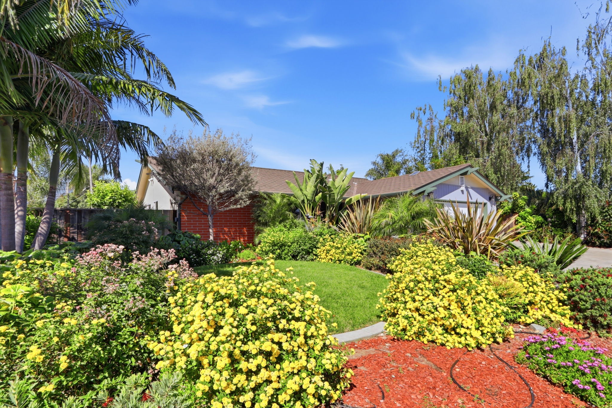 003_F8_6345 El Paseo Dr