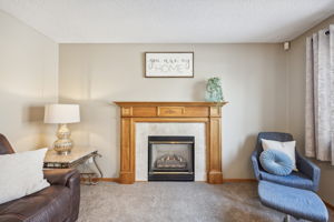 Lower Level Family Room features Gas Fireplace!