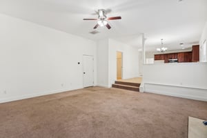 Local_Flavor_films-635 Hancock Ave, Braselton, GA 30517-196.jpg