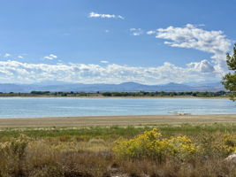  Photo 47