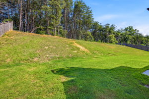 Image-37