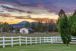 View from Backyard