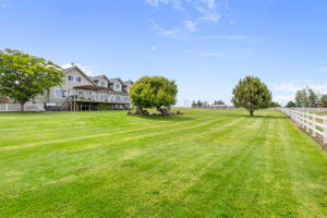 View from Back Corner of Fenced Yard