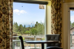 Mountain View from Living Room2