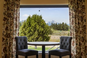 Mountain View from Living Room