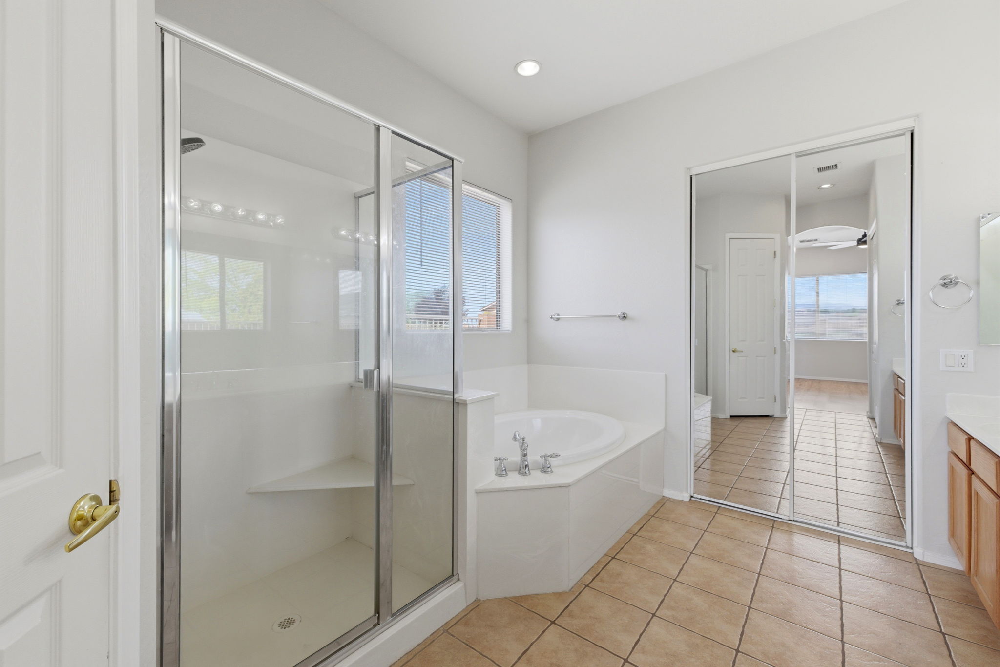 Primary Bathroom (1)