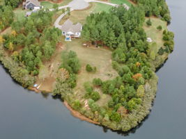  Photo 44