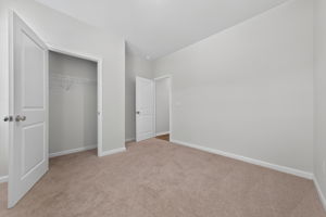  Photo 31