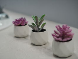  Photo 45