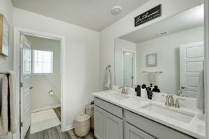 Hall Bathroom