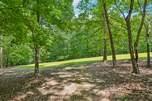 Green Oaks Dr-S2406-101.jpg