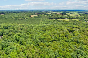 Green Oaks Dr-S2406-115.jpg
