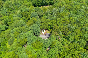 6366 Green-S2406-114_mediumr.jpg