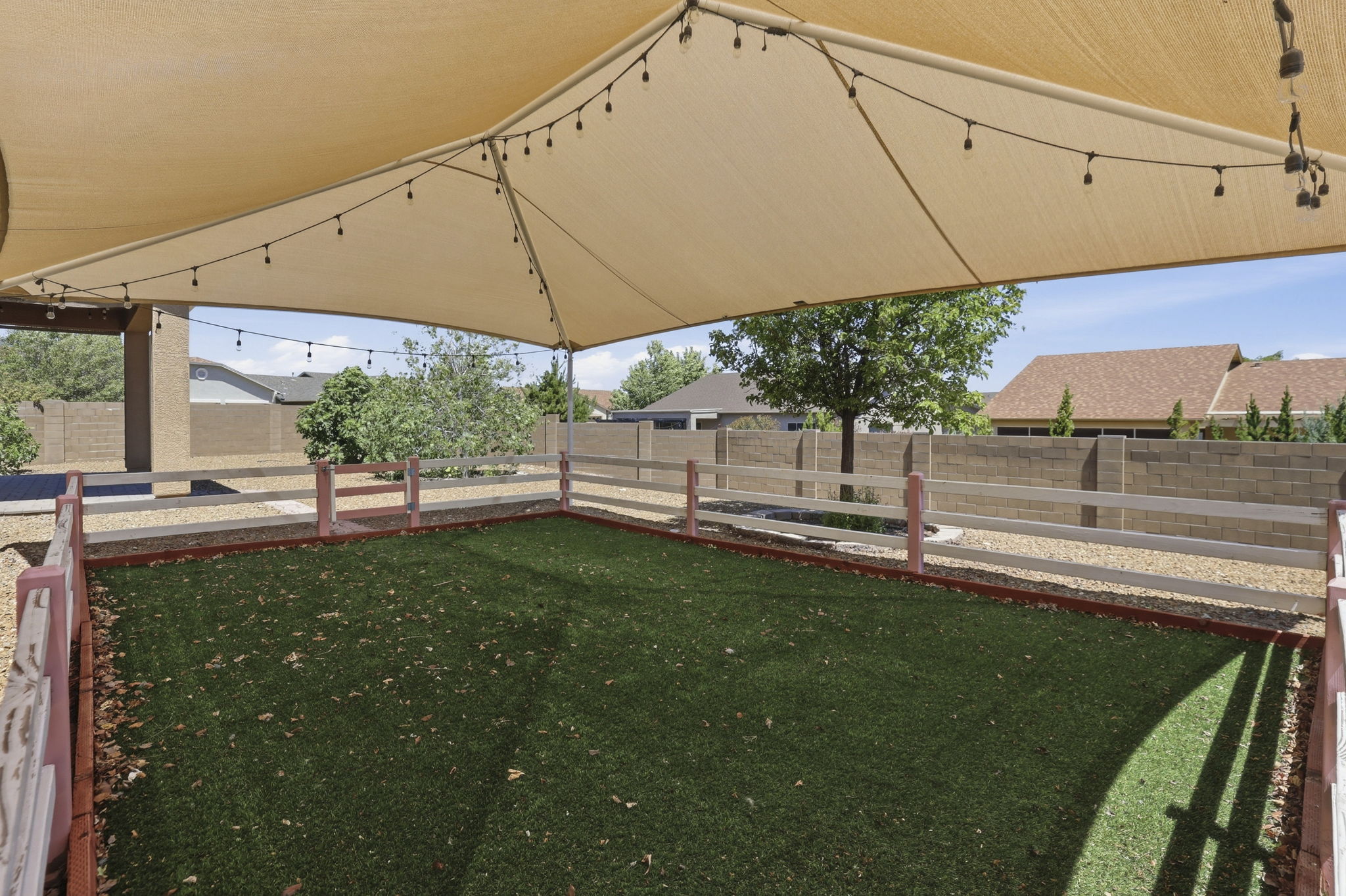 Backyard