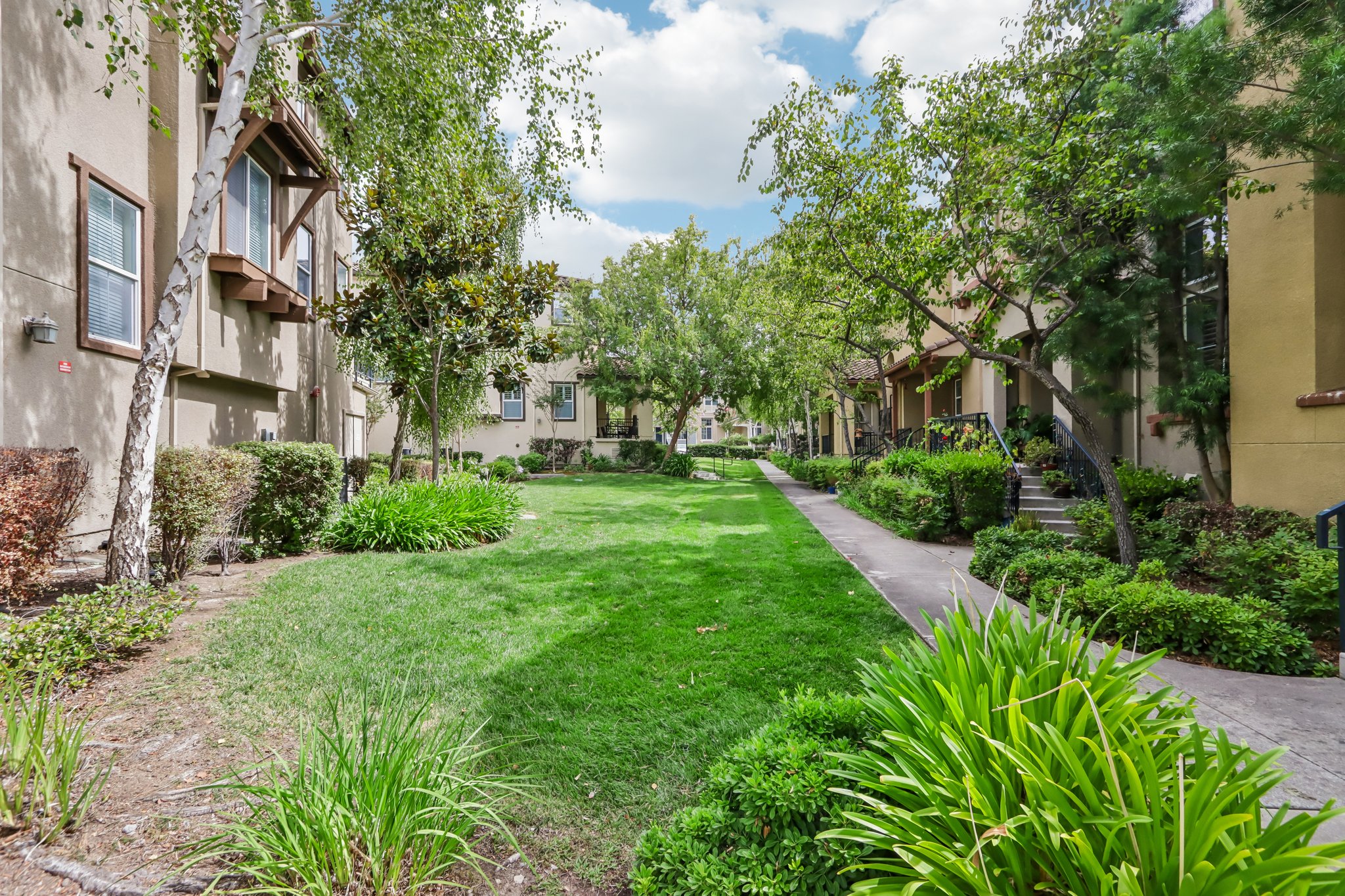 Byron Ln-S1908-073.jpg