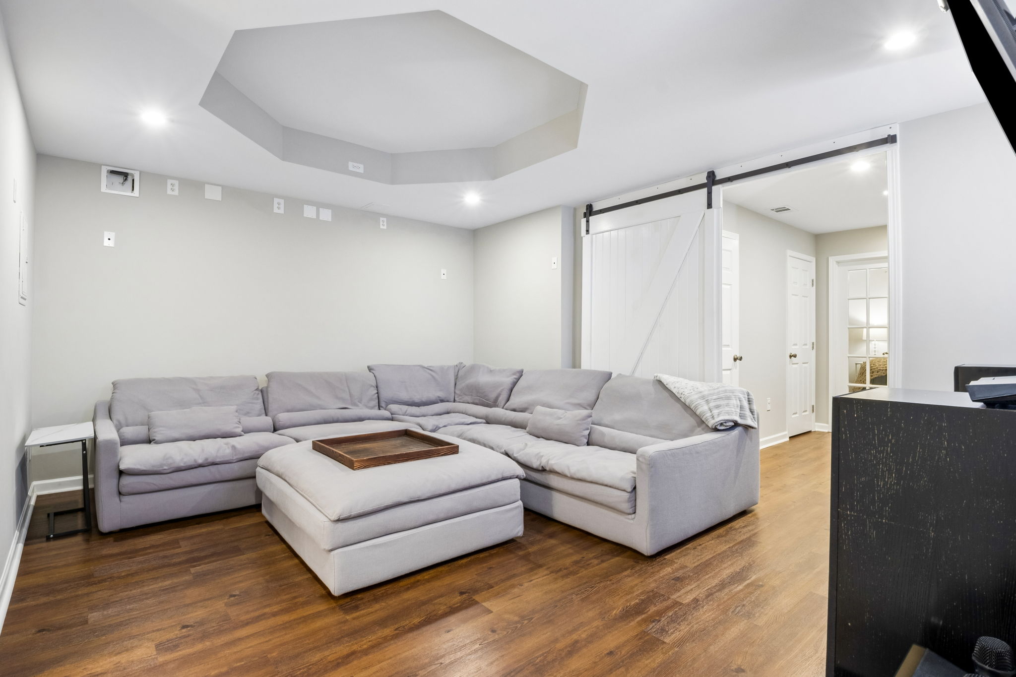 Basement Living Area
