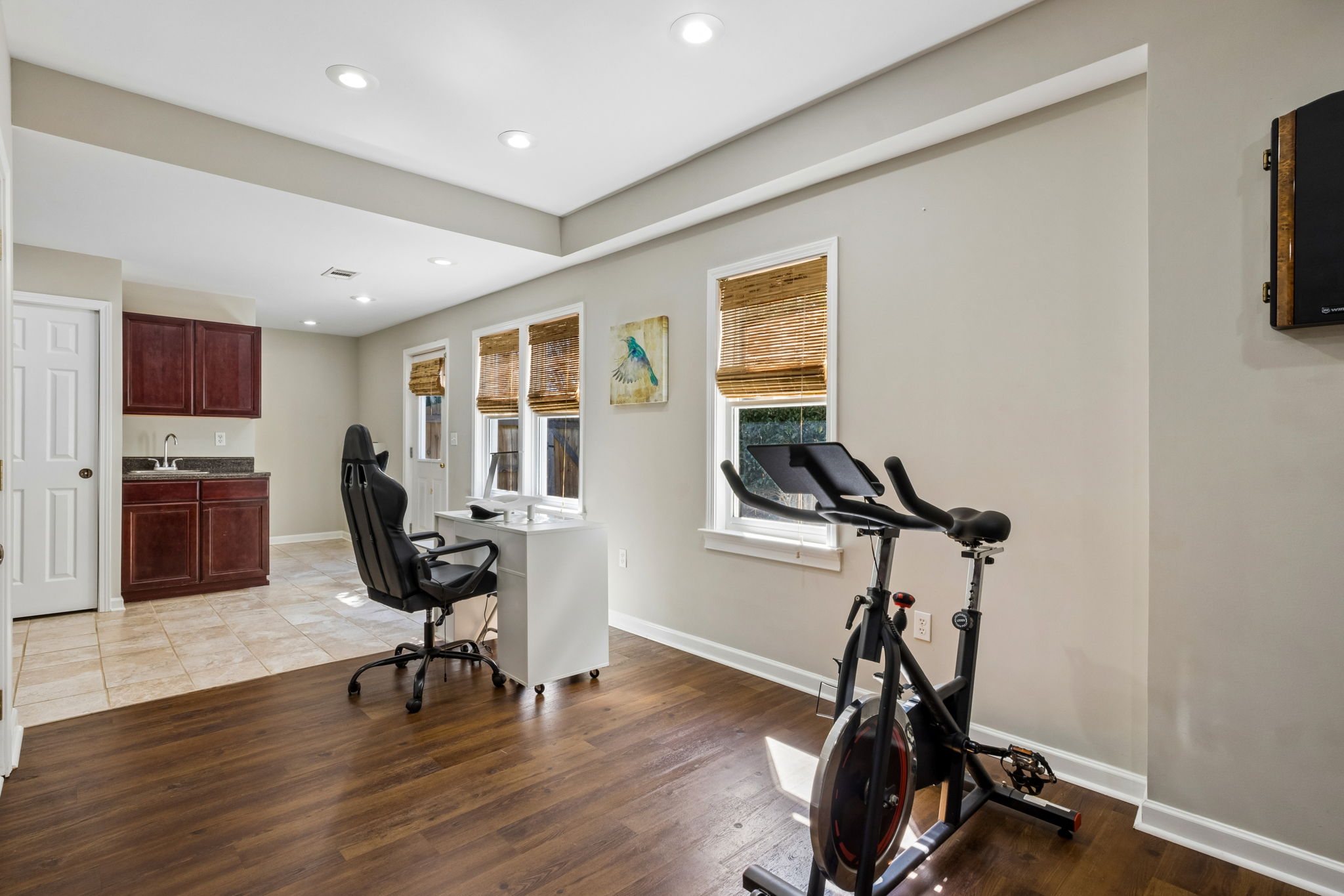 Basement Gym/Office
