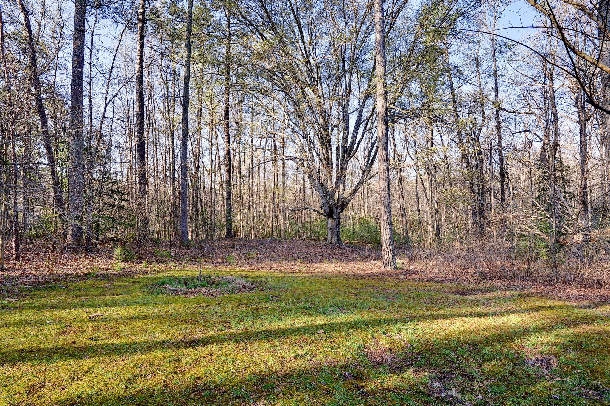 6380 W River Rd, Aylett, VA 23009, USA Photo 51